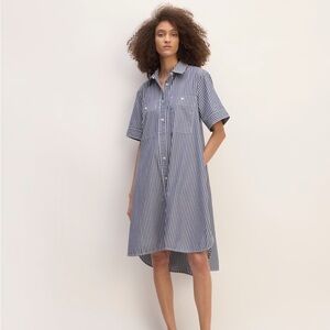 Everlane Daytripped Blue Pinstripe Button Up Shirt Dress